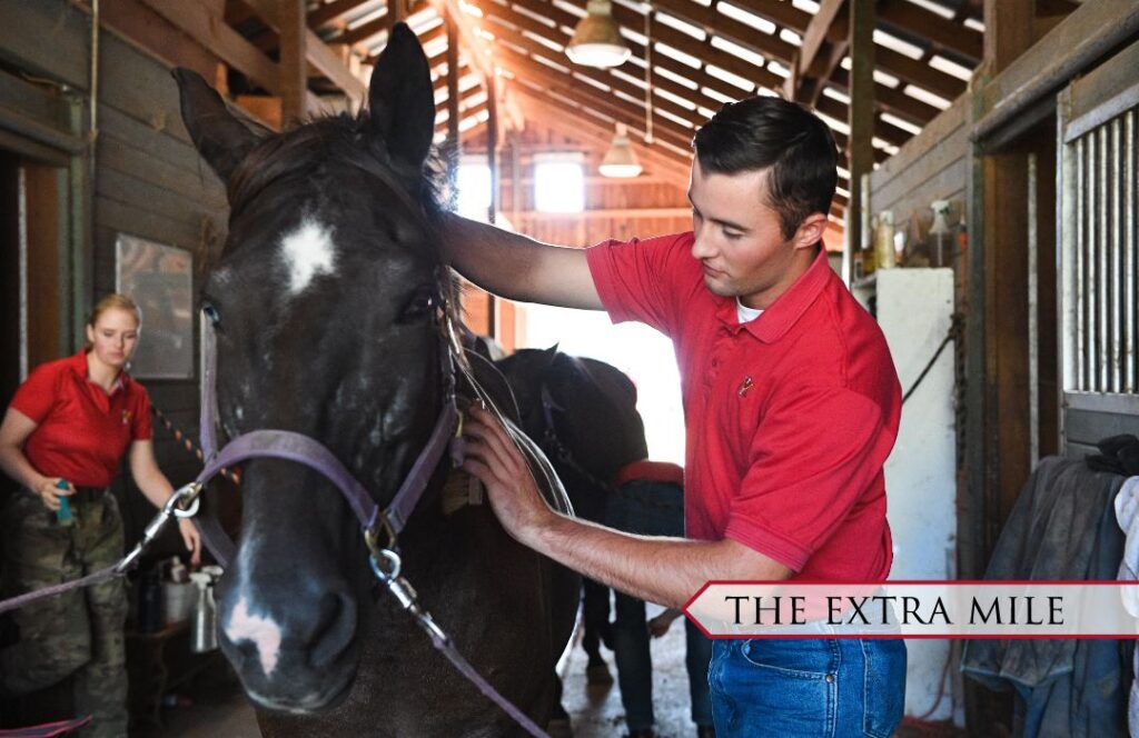 A cadet grooming a horse in the stables.