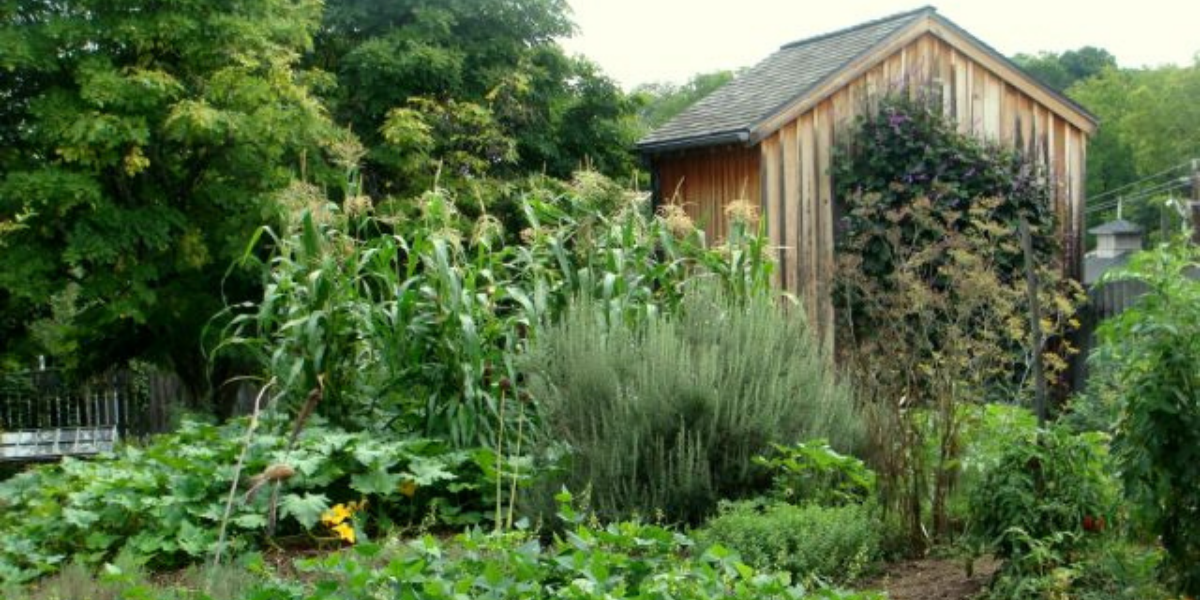 A view of the Jackson House Garden.