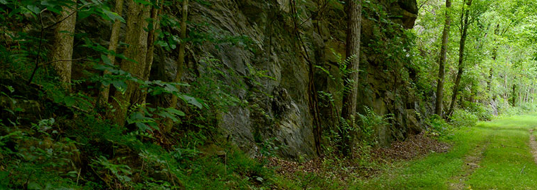 Portion of the Chessie Trail with outcropping.
